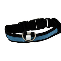 LED Pet Collar - Blue, Green, Pink or Yellow