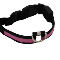 LED Pet Collar - Blue, Green, Pink or Yellow