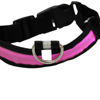 LED Pet Collar - Blue, Green, Pink or Yellow