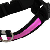 LED Pet Collar - Blue, Green, Pink or Yellow