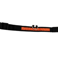 LED Pet Collar - Blue, Green, Pink or Yellow