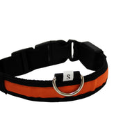 LED Pet Collar - Blue, Green, Pink or Yellow