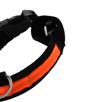 LED Pet Collar - Blue, Green, Pink or Yellow