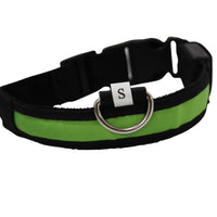 LED Pet Collar - Blue, Green, Pink or Yellow