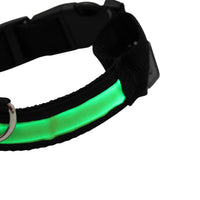 LED Pet Collar - Blue, Green, Pink or Yellow