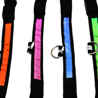 LED Pet Collar - Blue, Green, Pink or Yellow