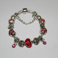Source Force Pandora Style Charm Bracelet