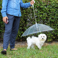 Transparent Outdoor Dog or Puppy Umbrella with Chain Leash