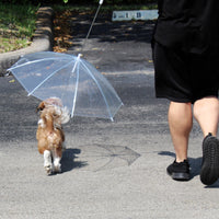 Transparent Outdoor Dog or Puppy Umbrella with Chain Leash