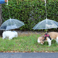 Transparent Outdoor Dog or Puppy Umbrella with Chain Leash