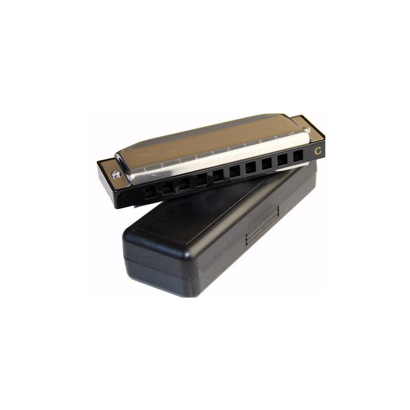 Recorder Flute or 10 Hole Key of C Harmonica