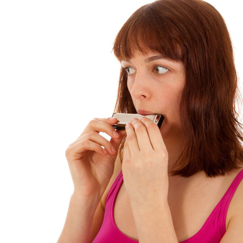 Recorder Flute or 10 Hole Key of C Harmonica