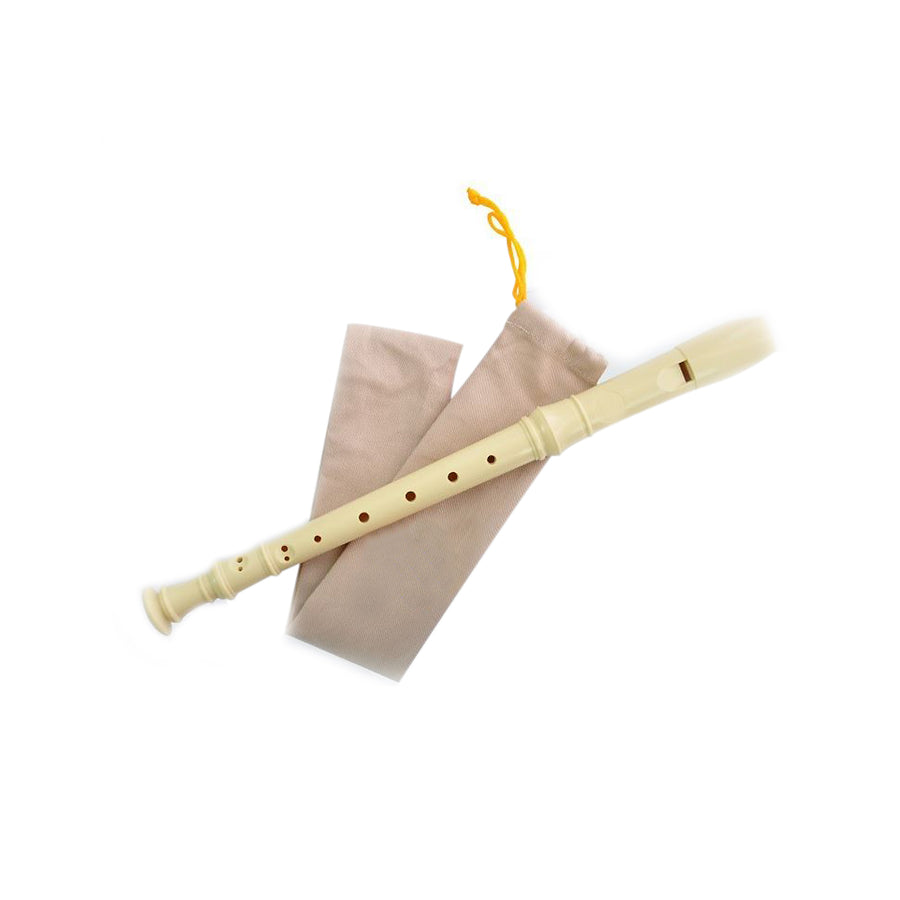 Recorder Flute or 10 Hole Key of C Harmonica