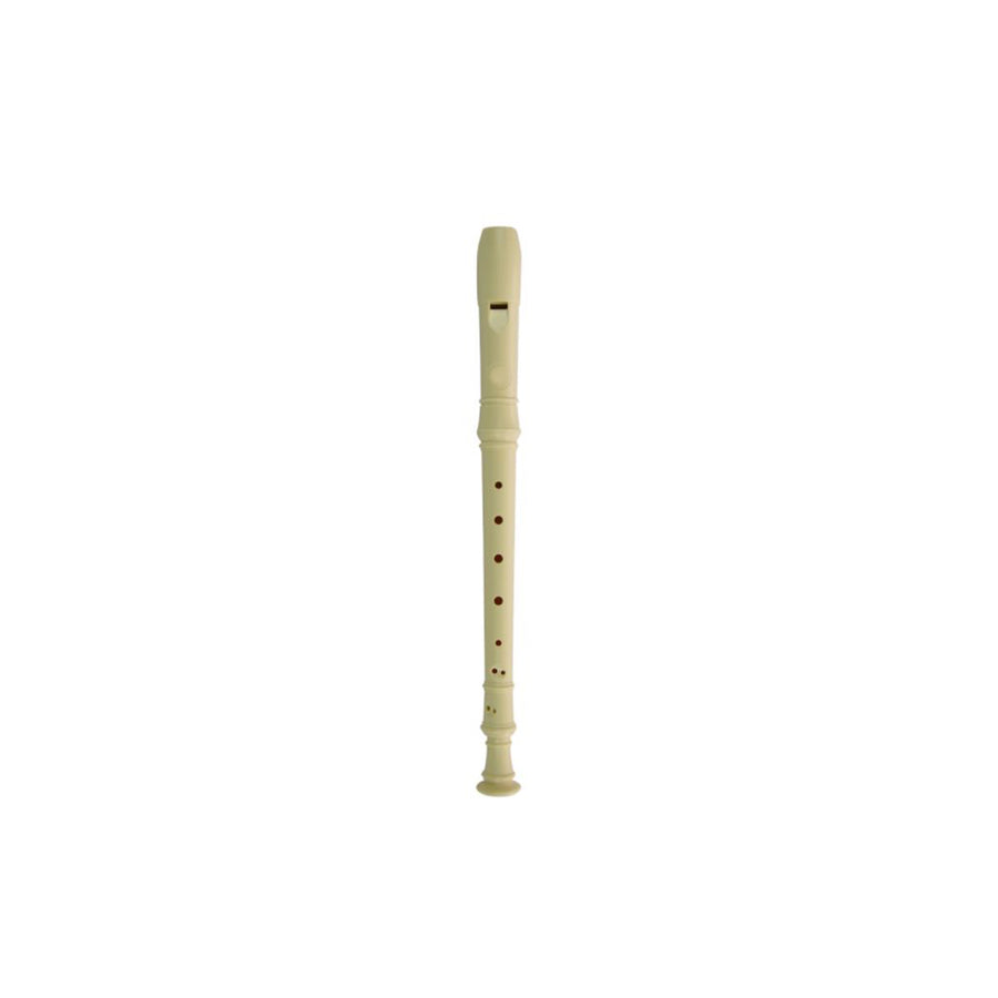 Recorder Flute or 10 Hole Key of C Harmonica