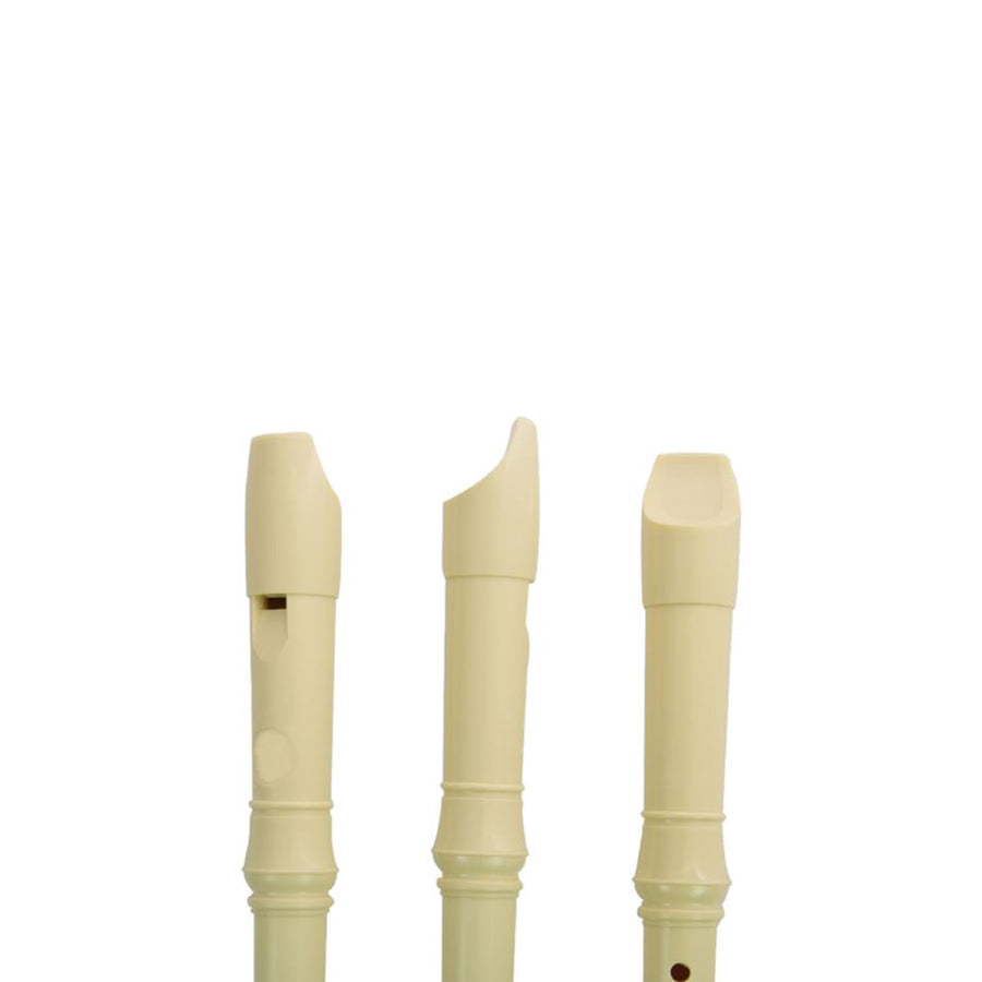 Recorder Flute or 10 Hole Key of C Harmonica