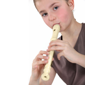 Recorder Flute or 10 Hole Key of C Harmonica