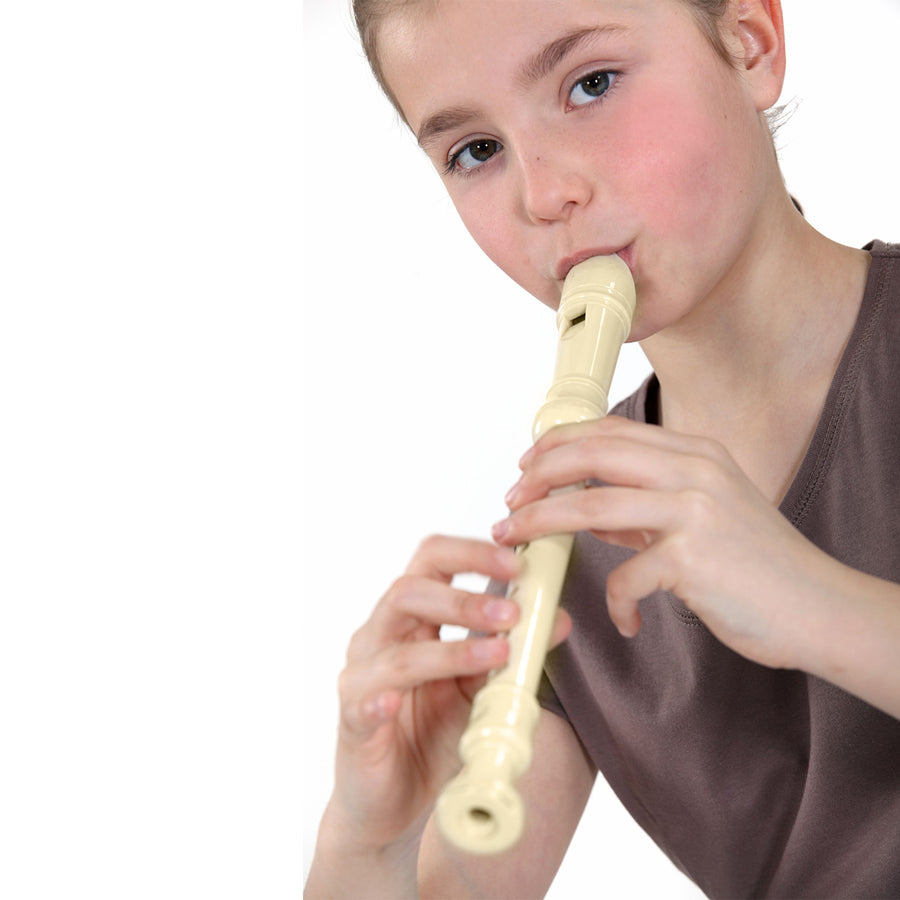 Recorder Flute or 10 Hole Key of C Harmonica