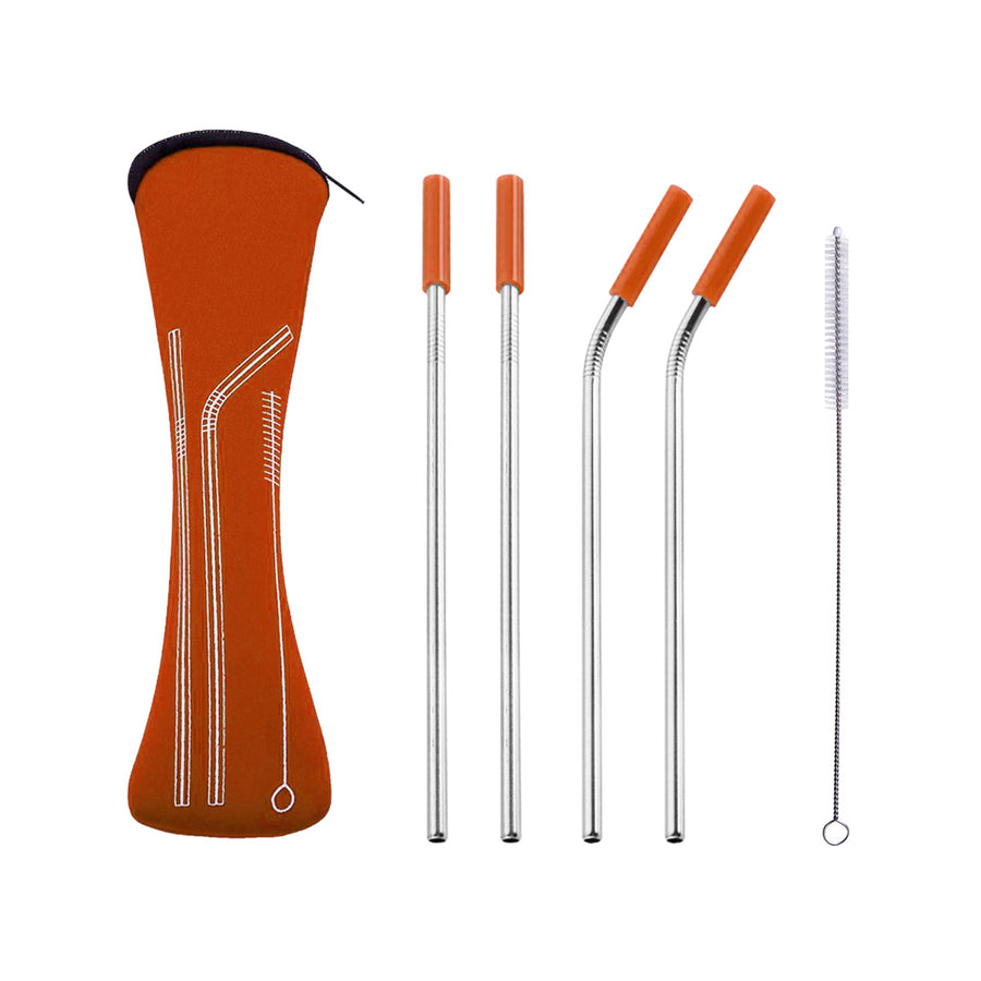 Reusable Stainless Steel Straw Set with Carrying Case and Cleaning Brush