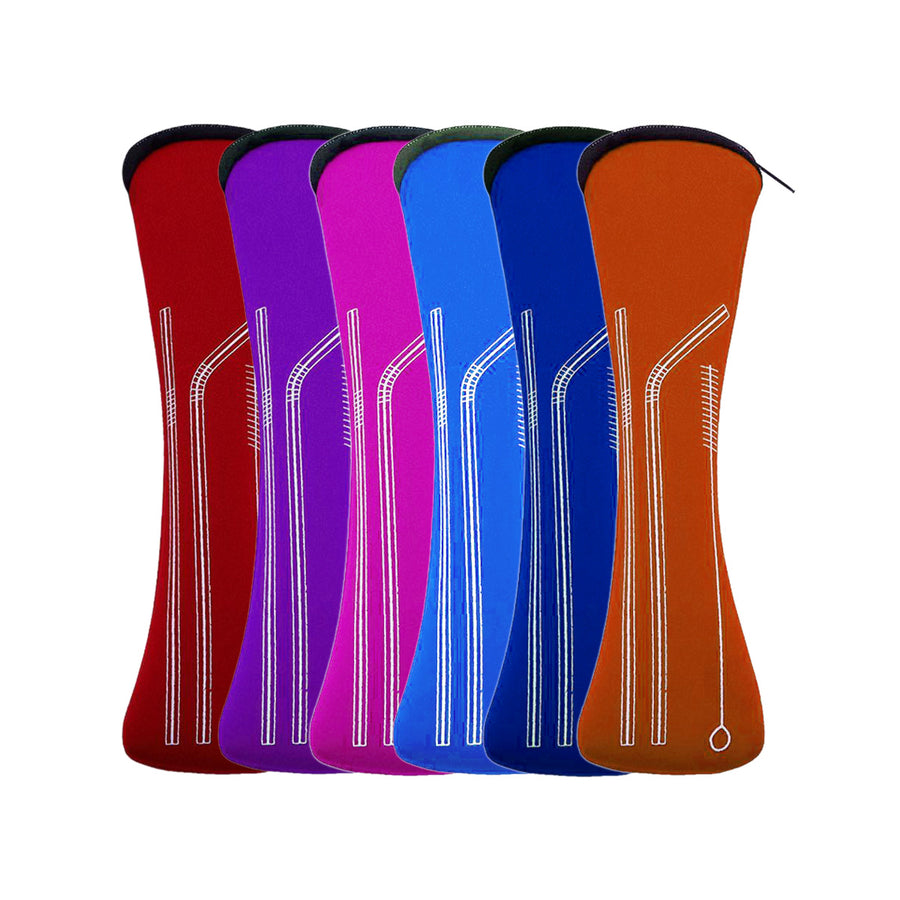 Reusable Stainless Steel Straw Set with Carrying Case and Cleaning Brush
