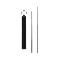 Portable Reusable Stainless Steel Telescoping Straw w/ Keychain Case