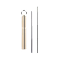 Portable Reusable Stainless Steel Telescoping Straw w/ Keychain Case