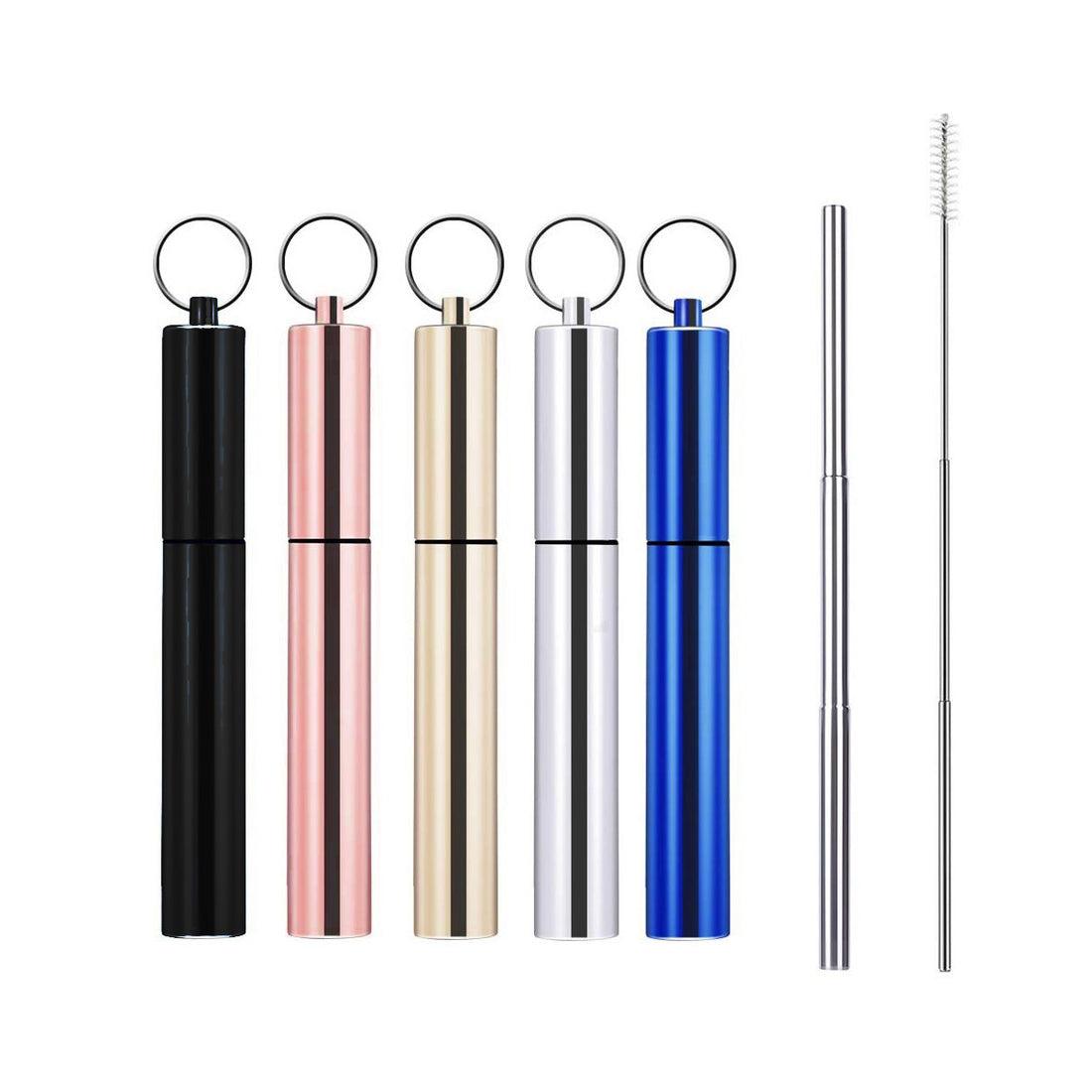 Portable Reusable Stainless Steel Telescoping Straw w/ Keychain Case