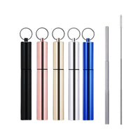 Portable Reusable Stainless Steel Telescoping Straw w/ Keychain Case