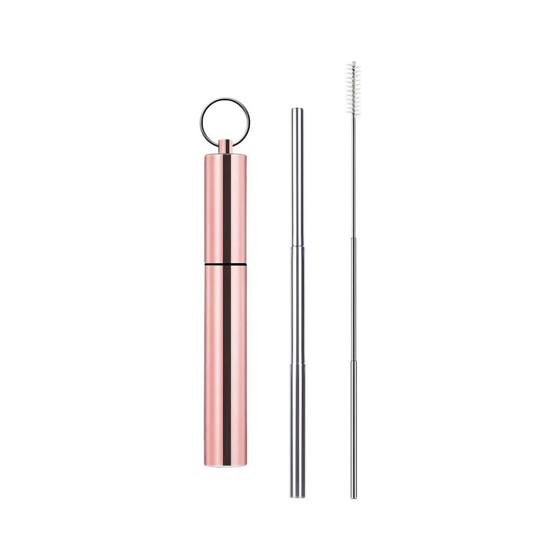Portable Reusable Stainless Steel Telescoping Straw w/ Keychain Case
