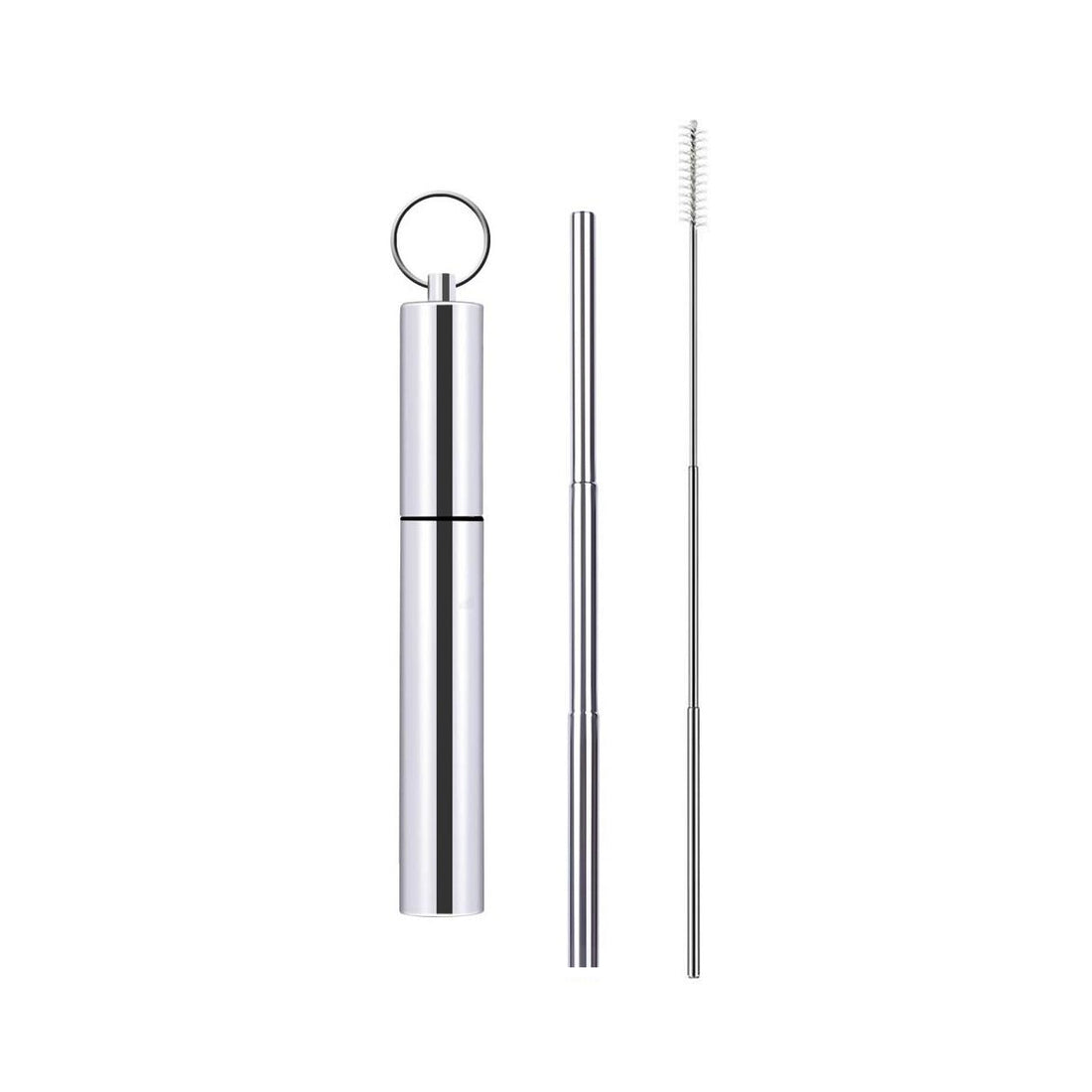 Portable Reusable Stainless Steel Telescoping Straw w/ Keychain Case