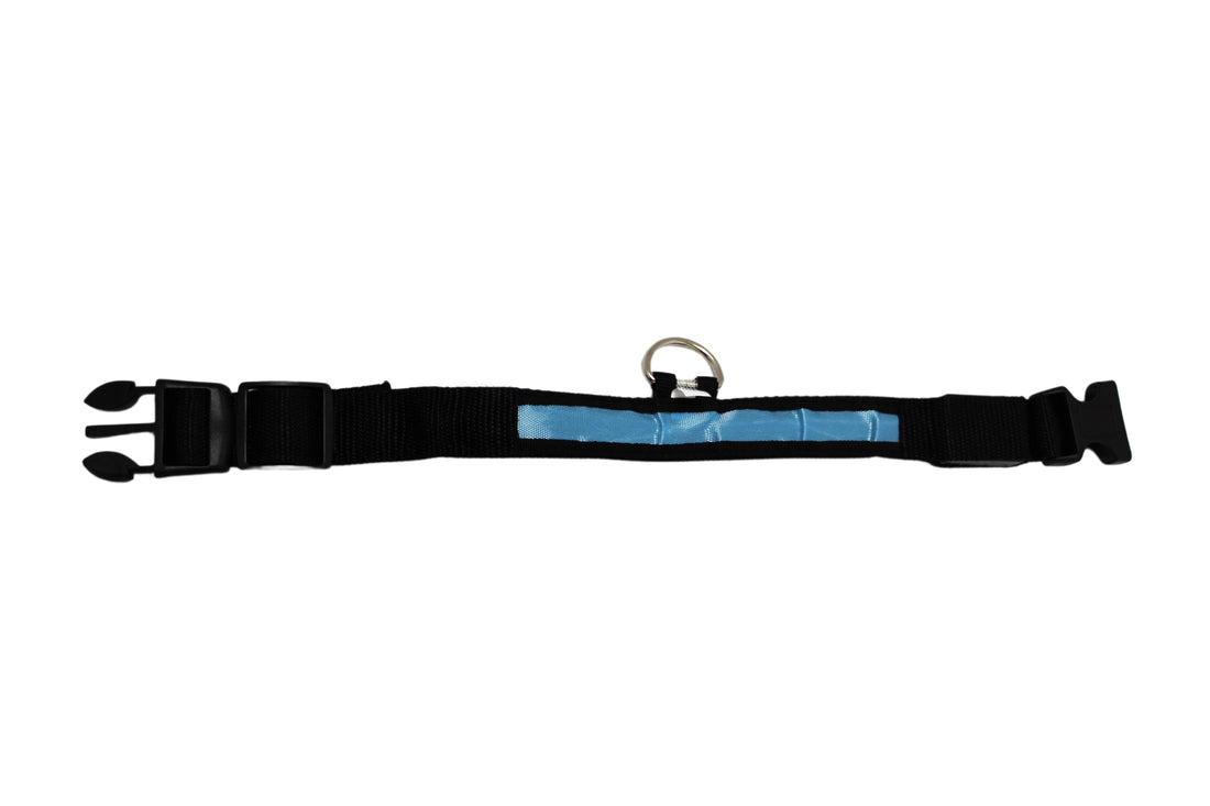 LED Pet Collar - Blue, Green, Pink or Yellow