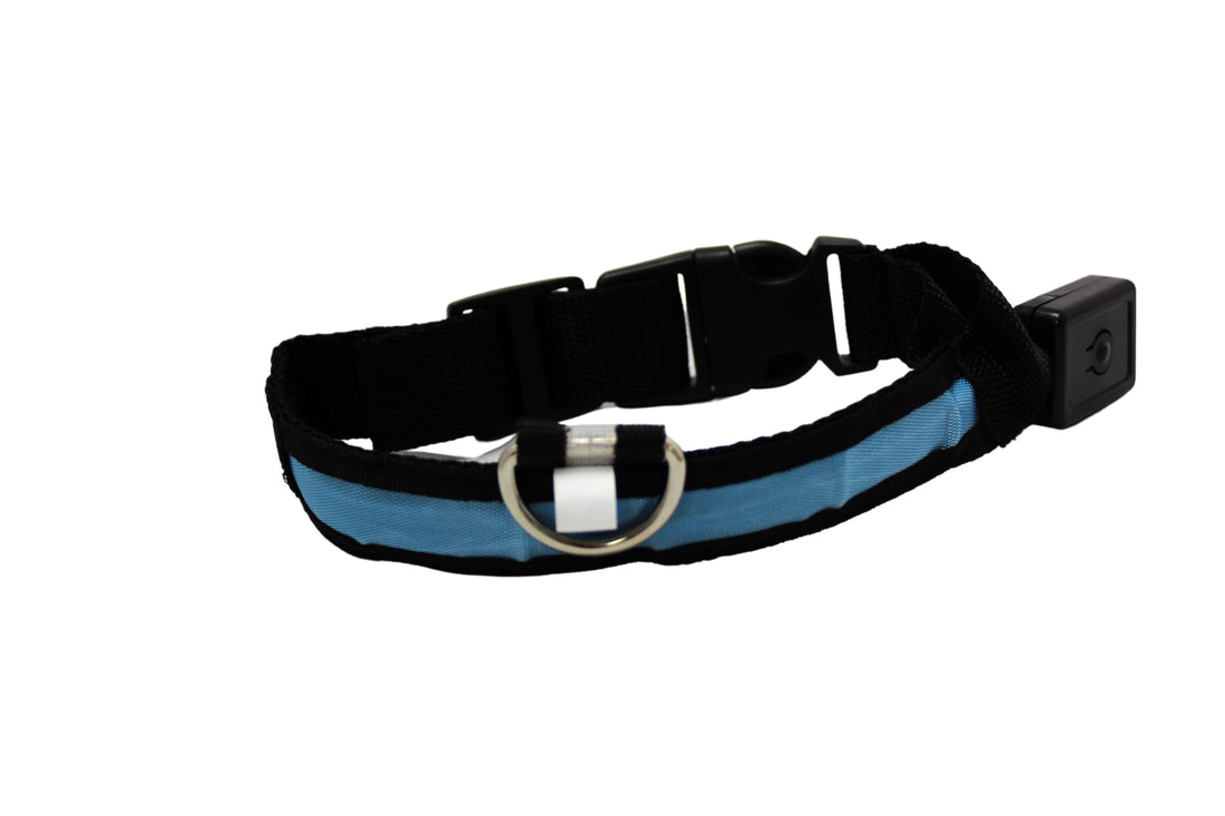 LED Pet Collar - Blue, Green, Pink or Yellow