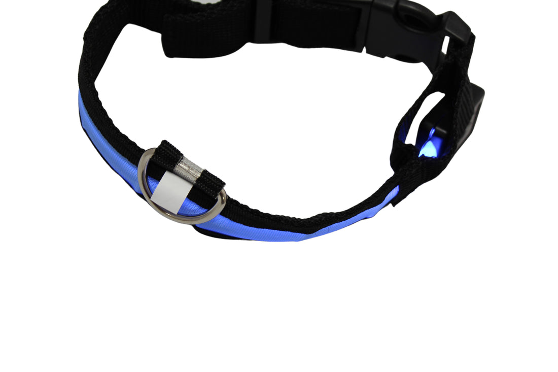 LED Pet Collar - Blue, Green, Pink or Yellow