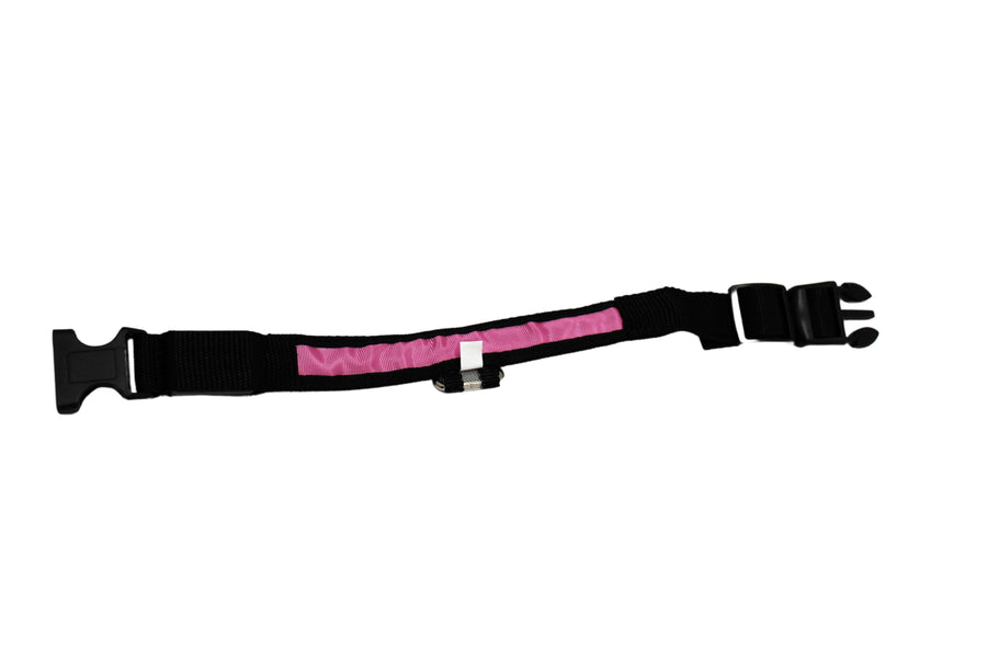 LED Pet Collar - Blue, Green, Pink or Yellow