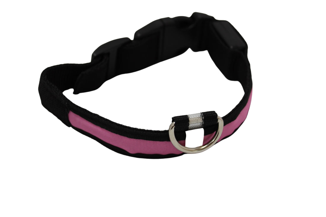 LED Pet Collar - Blue, Green, Pink or Yellow