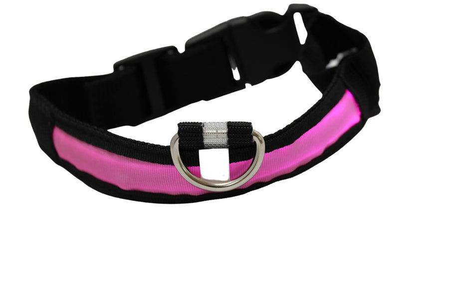 LED Pet Collar - Blue, Green, Pink or Yellow