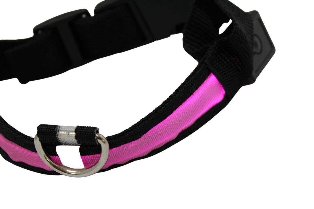 LED Pet Collar - Blue, Green, Pink or Yellow
