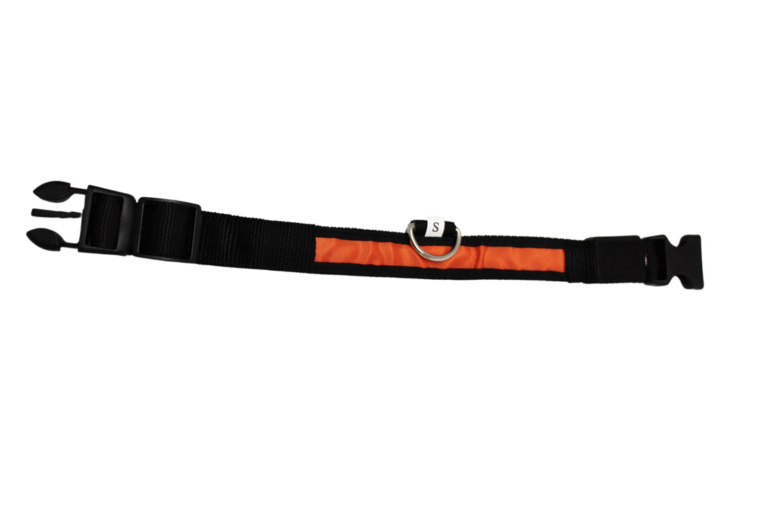 LED Pet Collar - Blue, Green, Pink or Yellow