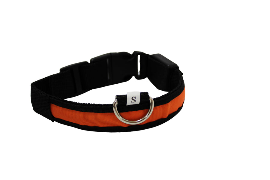 LED Pet Collar - Blue, Green, Pink or Yellow