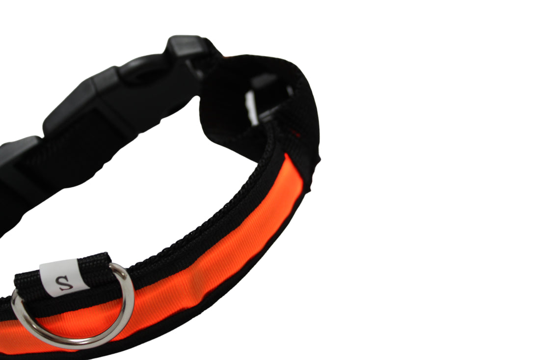 LED Pet Collar - Blue, Green, Pink or Yellow