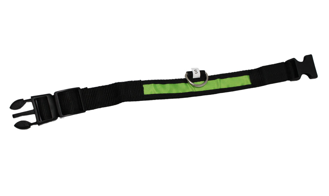 LED Pet Collar - Blue, Green, Pink or Yellow