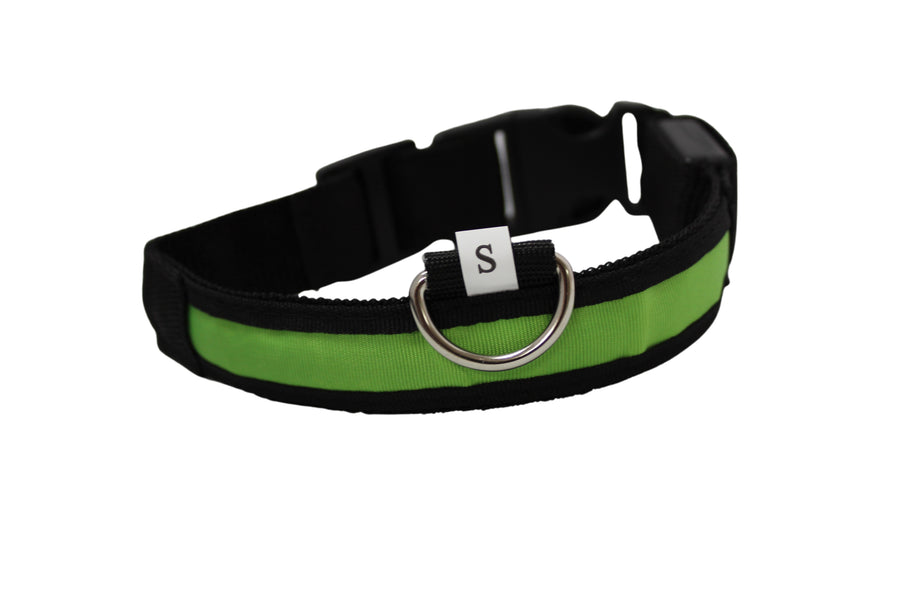 LED Pet Collar - Blue, Green, Pink or Yellow