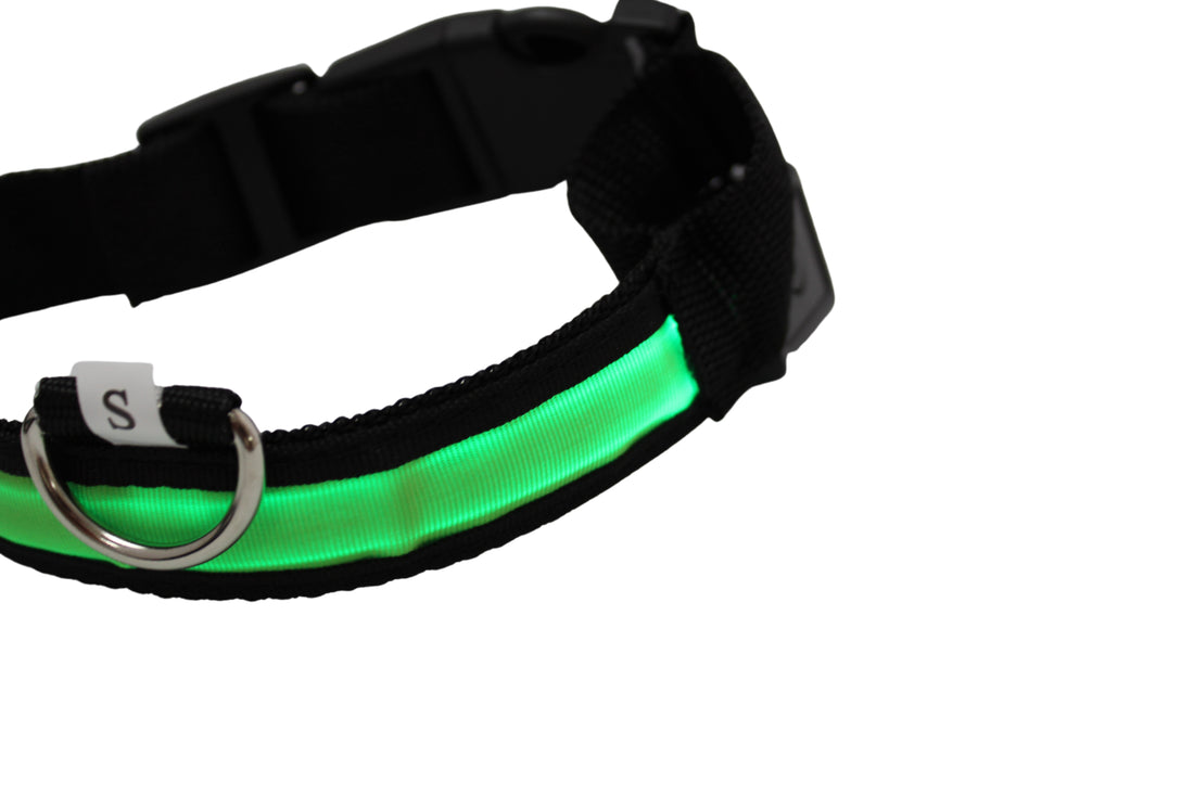 LED Pet Collar - Blue, Green, Pink or Yellow