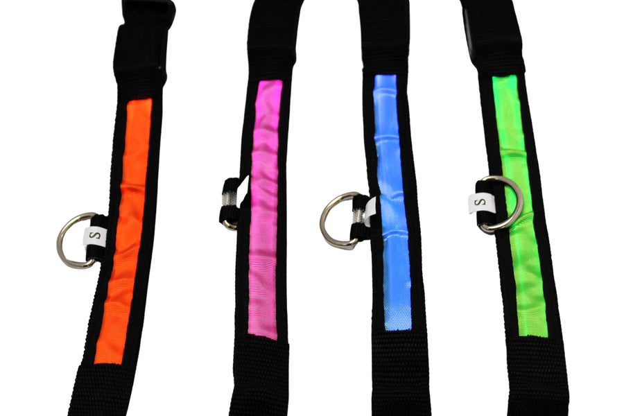 LED Pet Collar - Blue, Green, Pink or Yellow