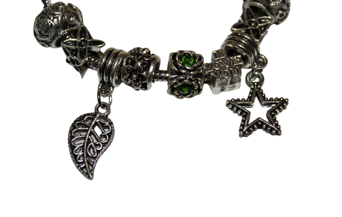 Source Force Pandora Style Charm Bracelet