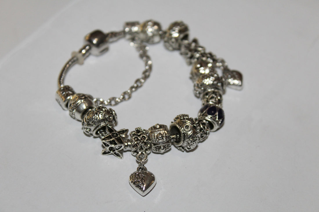 Source Force Pandora Style Charm Bracelet