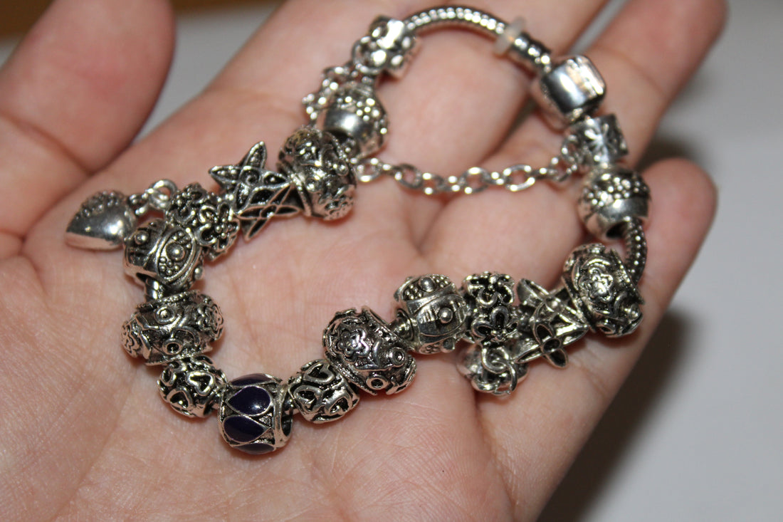 Source Force Pandora Style Charm Bracelet