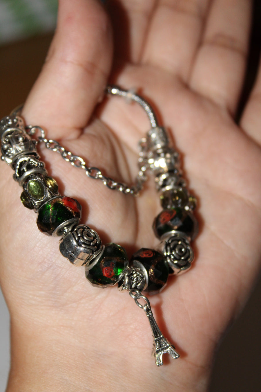 Source Force Pandora Style Charm Bracelet