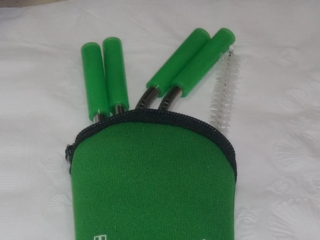 Reusable Stainless Steel Straw Set with Carrying Case and Cleaning Brush