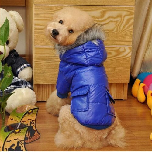 Waterproof Winter Coat for Dogs - Blue, Pink or Gray